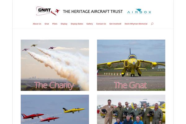 Divi theme site design template sample