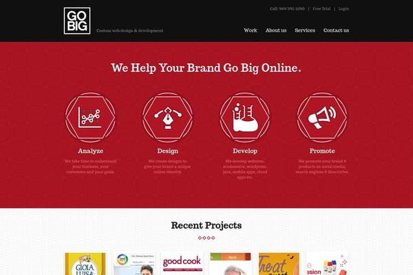 gobigweb.com site used Gobig