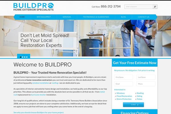 Buildpro theme websites examples