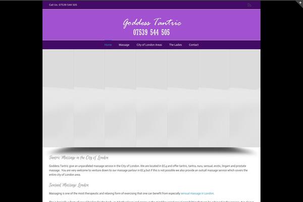 WordPress website example screenshot