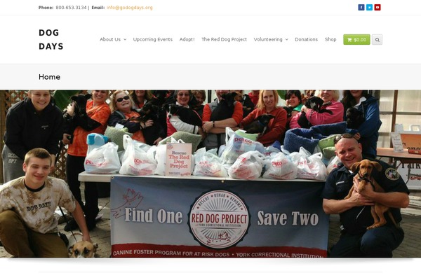 Total theme site design template sample