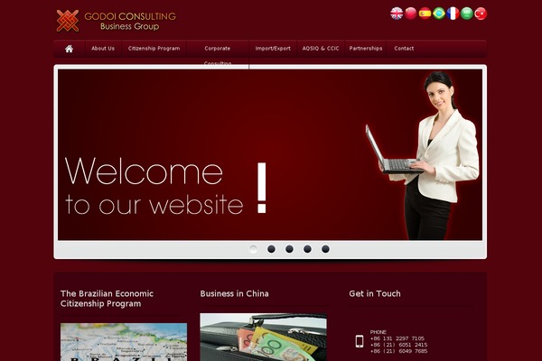 WordPress website example screenshot