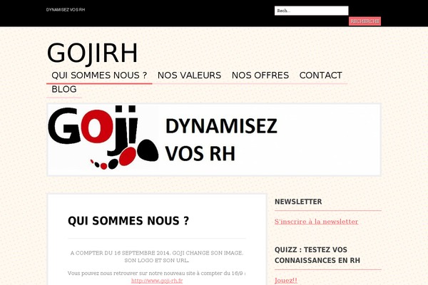 gojirh.com site used Affinger_20150613