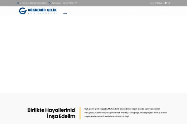 gokdemircelik.com site used Brixel-child