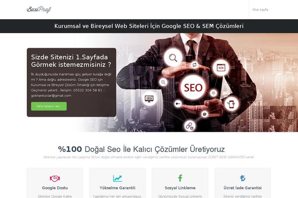 gokhankoclar.com site used Busiprof