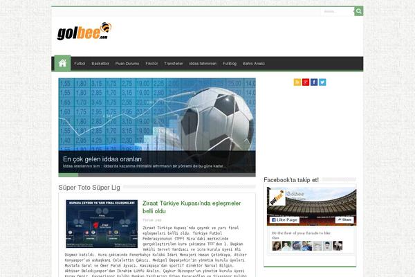 Sahifa theme site design template sample