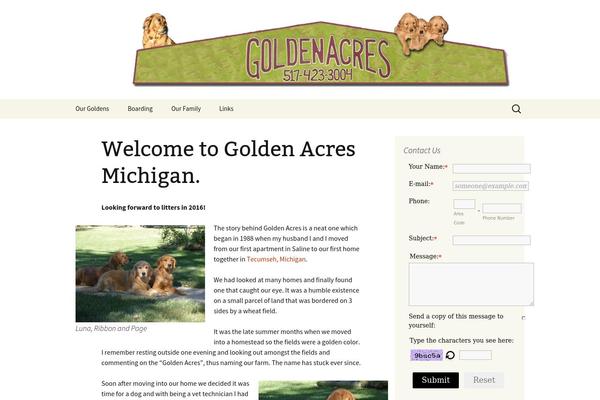 Twenty Thirteen theme site design template sample