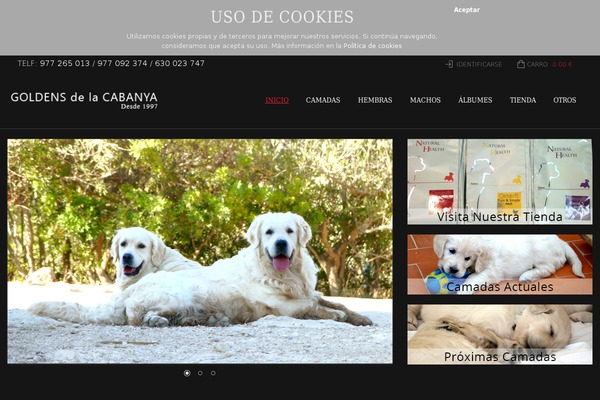 Legenda theme site design template sample