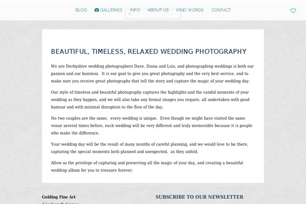 Yoo_venice_wp theme site design template sample