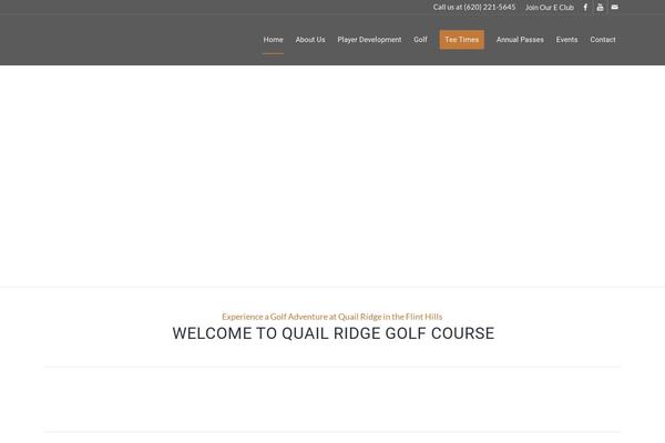 Site using Autoptimize plugin