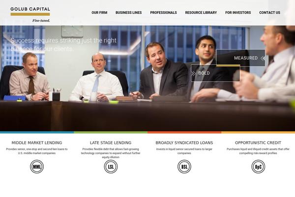 golub WordPress theme, websites list used golub theme golub theme websites examples