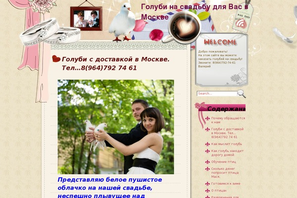 golubi-na-svadbu.ru site used Vows