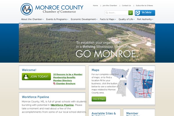 WordPress website example screenshot