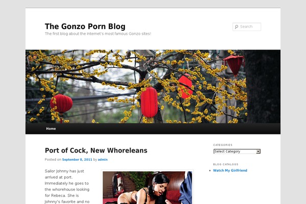 gonzo-blog.com site used Cocoon