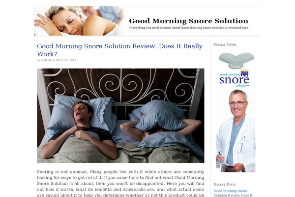 WordPress website example screenshot