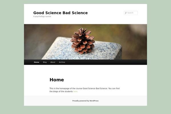 WordPress website example screenshot