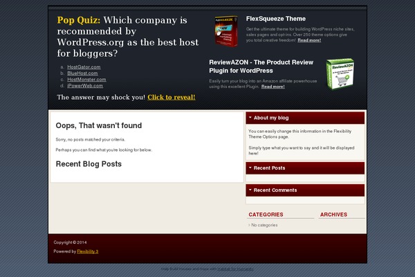 WordPress website example screenshot