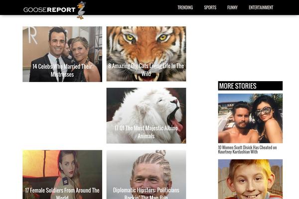 cm-theme WordPress theme, websites list used cm-theme theme cm-theme theme websites examples