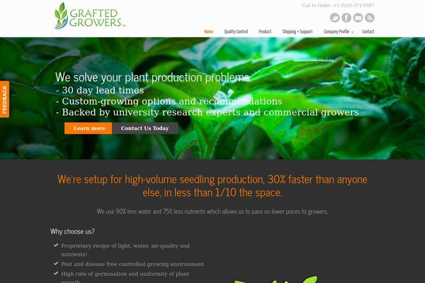 WordPress website example screenshot
