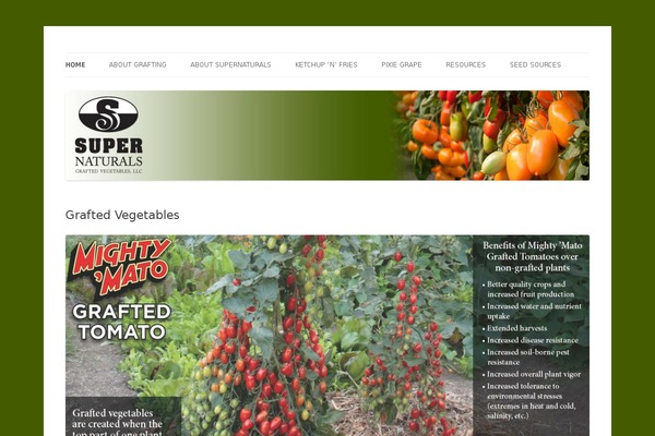 Twenty Twelve theme site design template sample