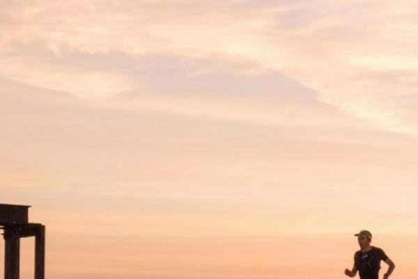 Twenty Seventeen theme site design template sample