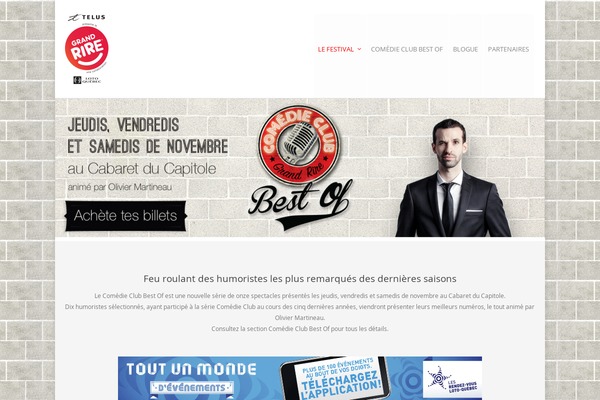 Salient theme site design template sample