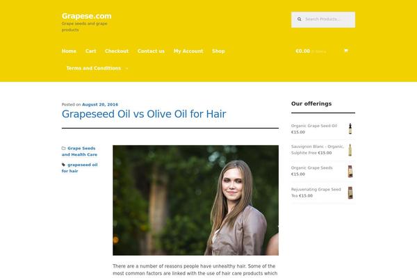 WordPress website example screenshot