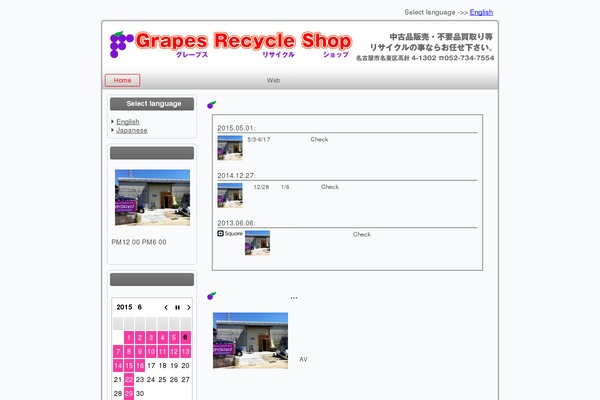 grapesrecycle.com site used 110817grapes