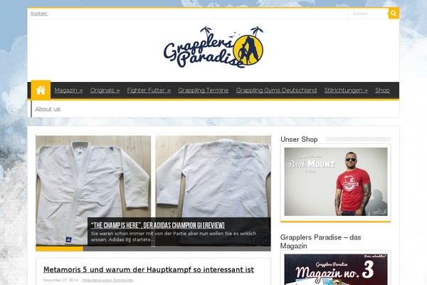 Sahifa theme site design template sample