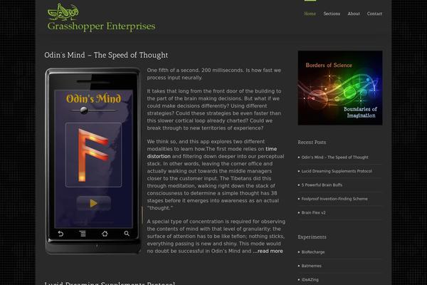 Avada theme site design template sample