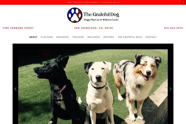 gratefuldogsf.com site used Doggie