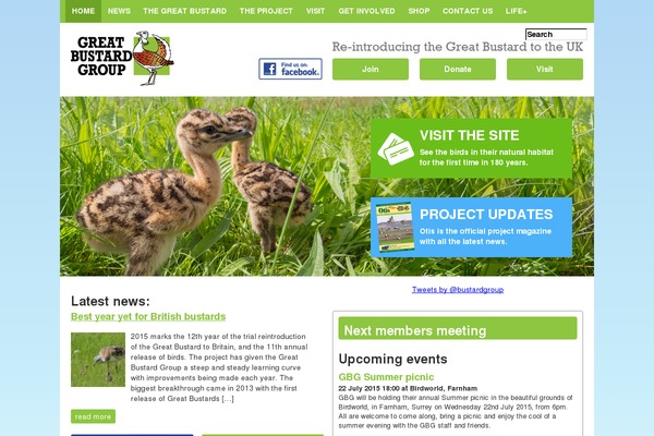 greatbustard.org site used Greatbustardgroup