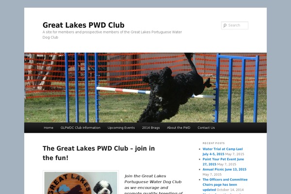 Twenty Eleven theme site design template sample