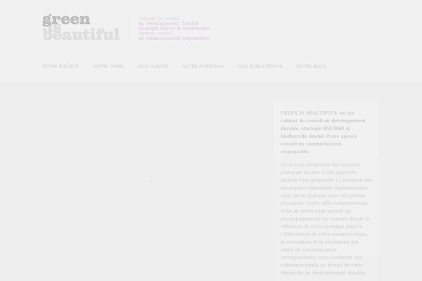 inFocus theme site design template sample