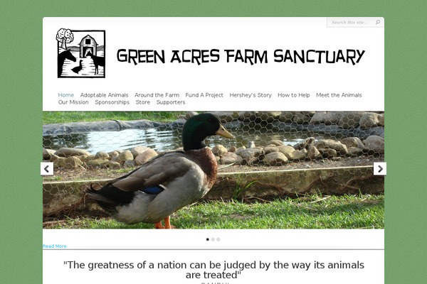 Chameleon theme site design template sample