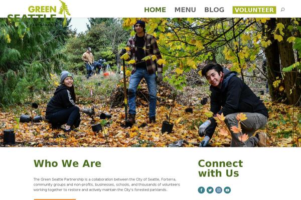 Site using MailChimp for WordPress plugin