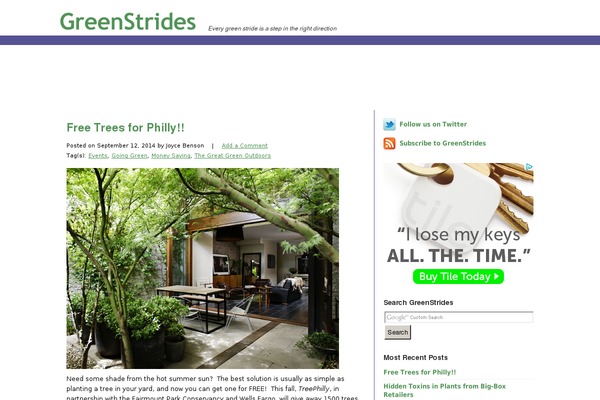 greenstrides.com site used Modernpaper-10