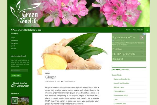 WordPress website example screenshot