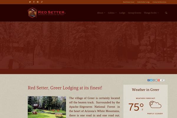 Salient theme site design template sample