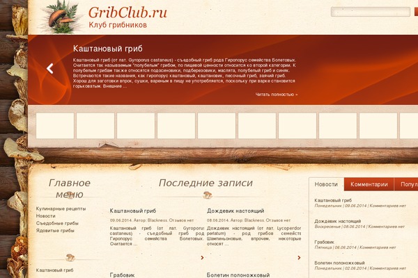 gribclub.ru site used Directorynews