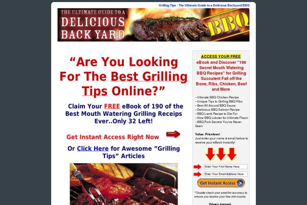 grillingtips.net site used Nicheprofitpress_dark_gray