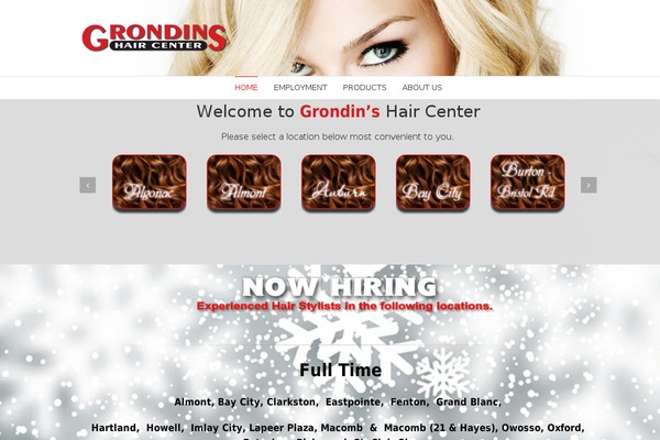 WordPress website example screenshot
