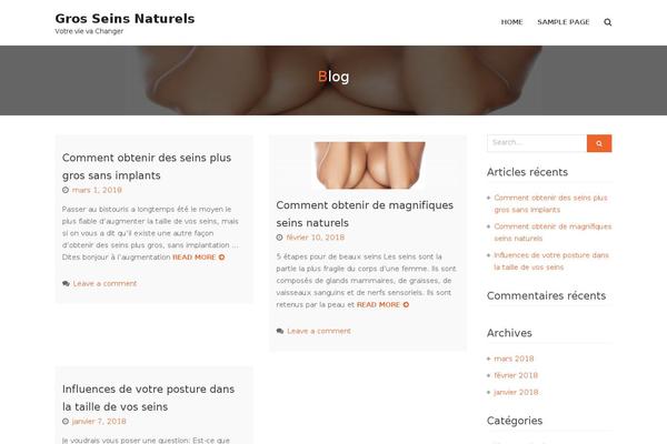 gros-sein-naturel.fr site used Blossom Pin