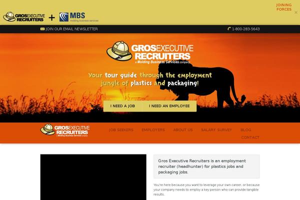 grosrecruiters.com site used Gros-recruiters