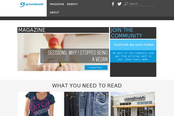 groundswell theme websites examples