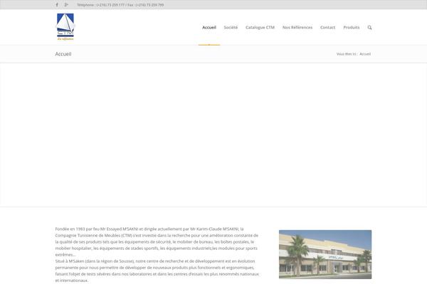 WordPress website example screenshot