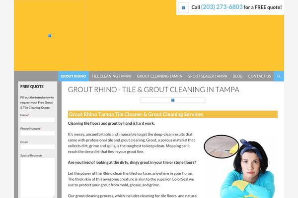 groutrhino.com site used Twenty Fourteen