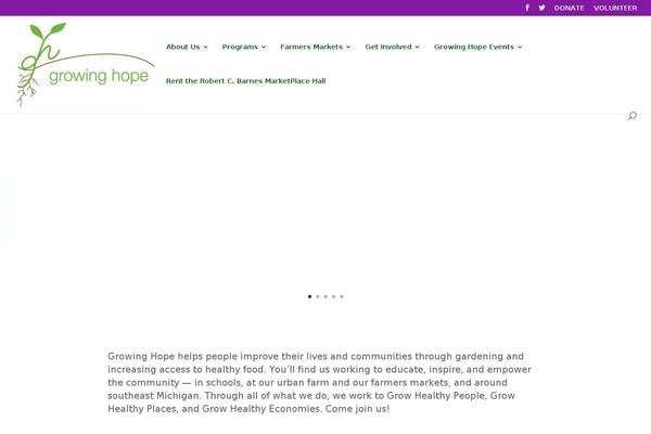 Site using Instagram Feed plugin