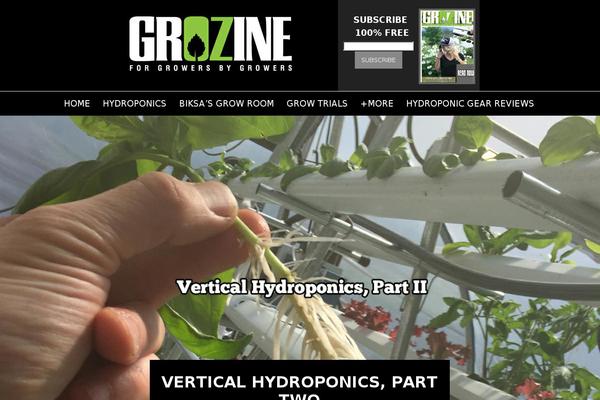 grozine.com site used MH Magazine