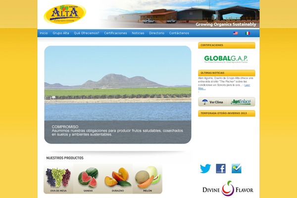 grupoalta.com site used Alta